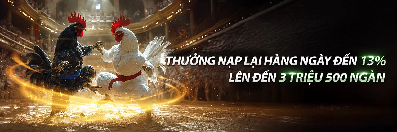Đá gà trực tuyến kịch tính tại TF88